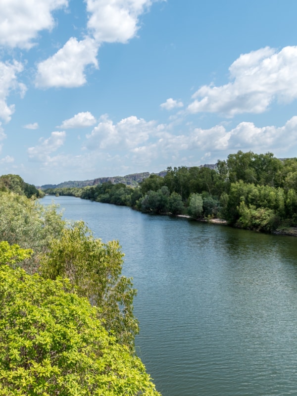 Arnhem land photo of river and trees by Vladimir Haltakov